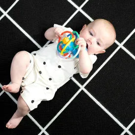 Baby Einstein Opuss Shake & Siithe Teether Toy and Rattle