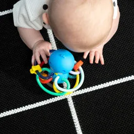 Baby Einstein Opuss Shake & Siithe Teether Toy and Rattle