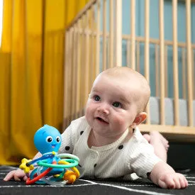 Baby Einstein Opuss Shake & Siithe Teether Toy and Rattle