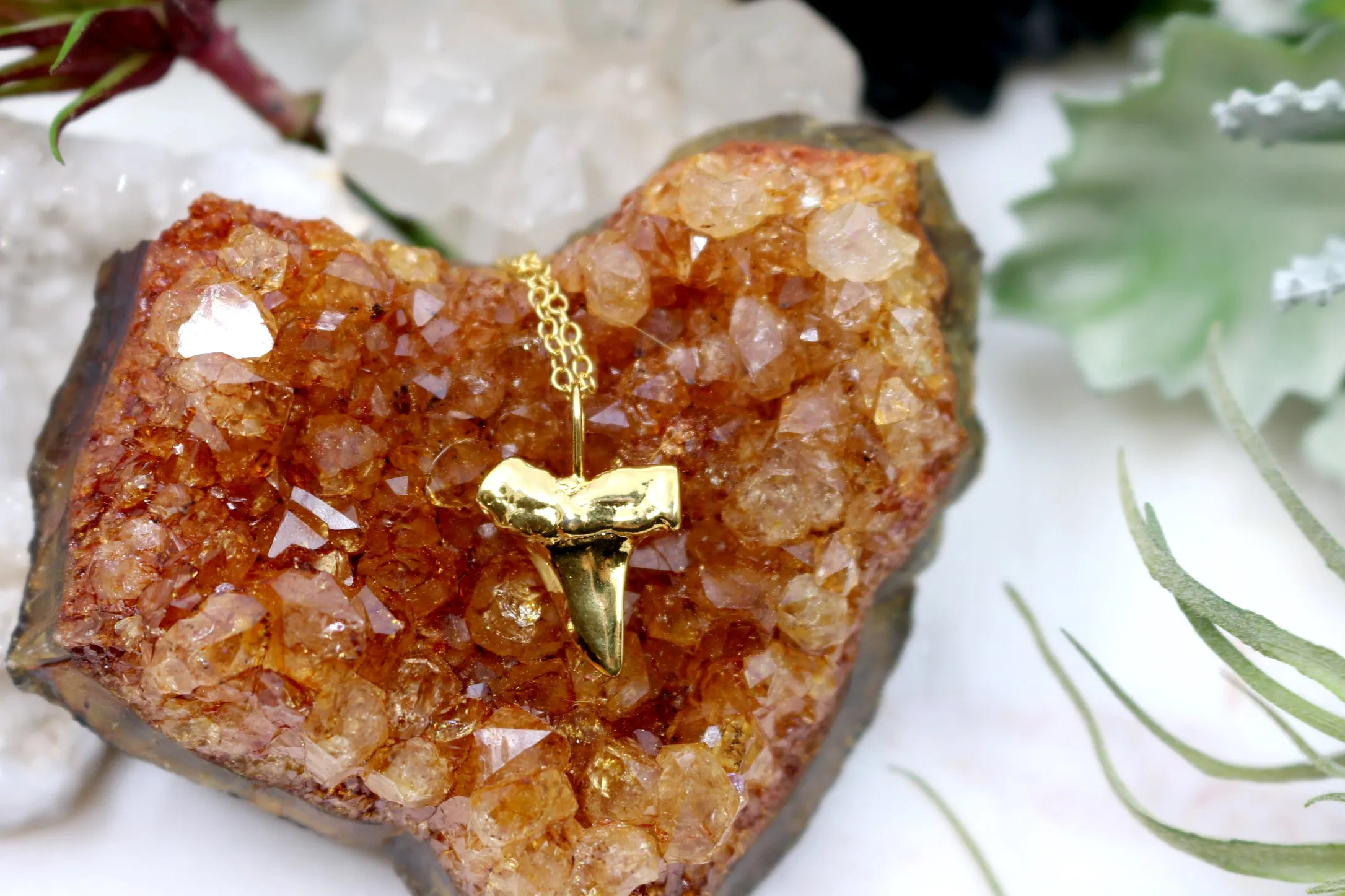 Bite Me // Shark Tooth Necklace, Gold, Sterling Silver, Rose Gold, Animal Friendly // BH-N018