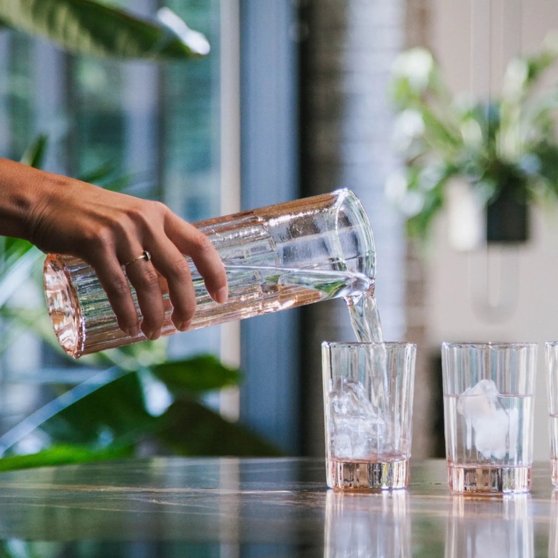 Carafe Reed