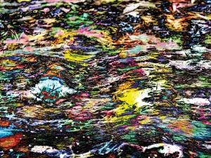 Colorful Bark 16