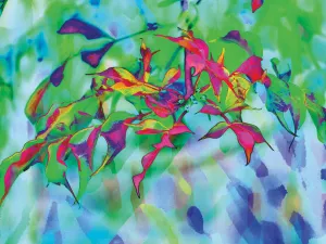 Colorful Foliage 01