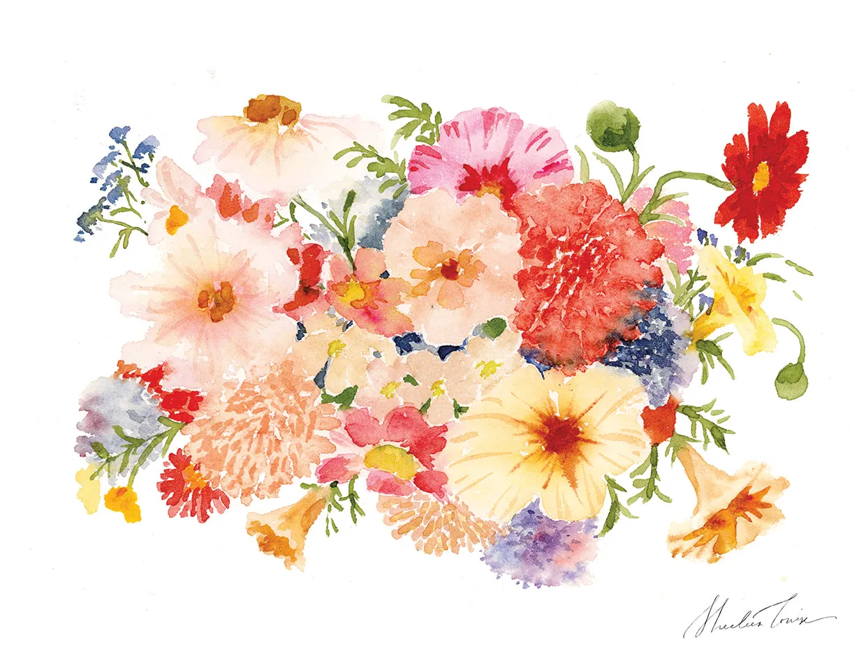 Colorful Pansy