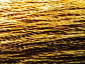 Colorful Waves 33