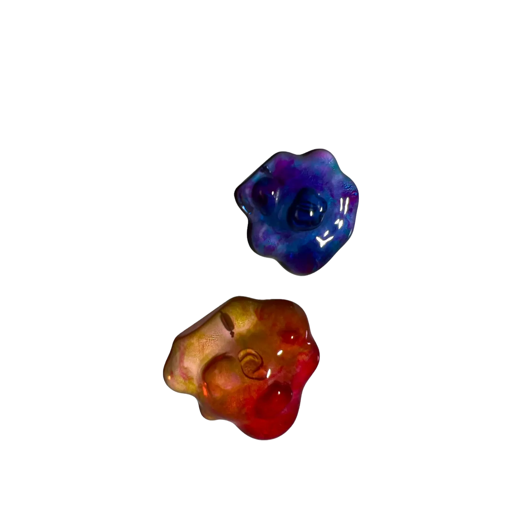 Hydnellum Peckii Earrings — Violet