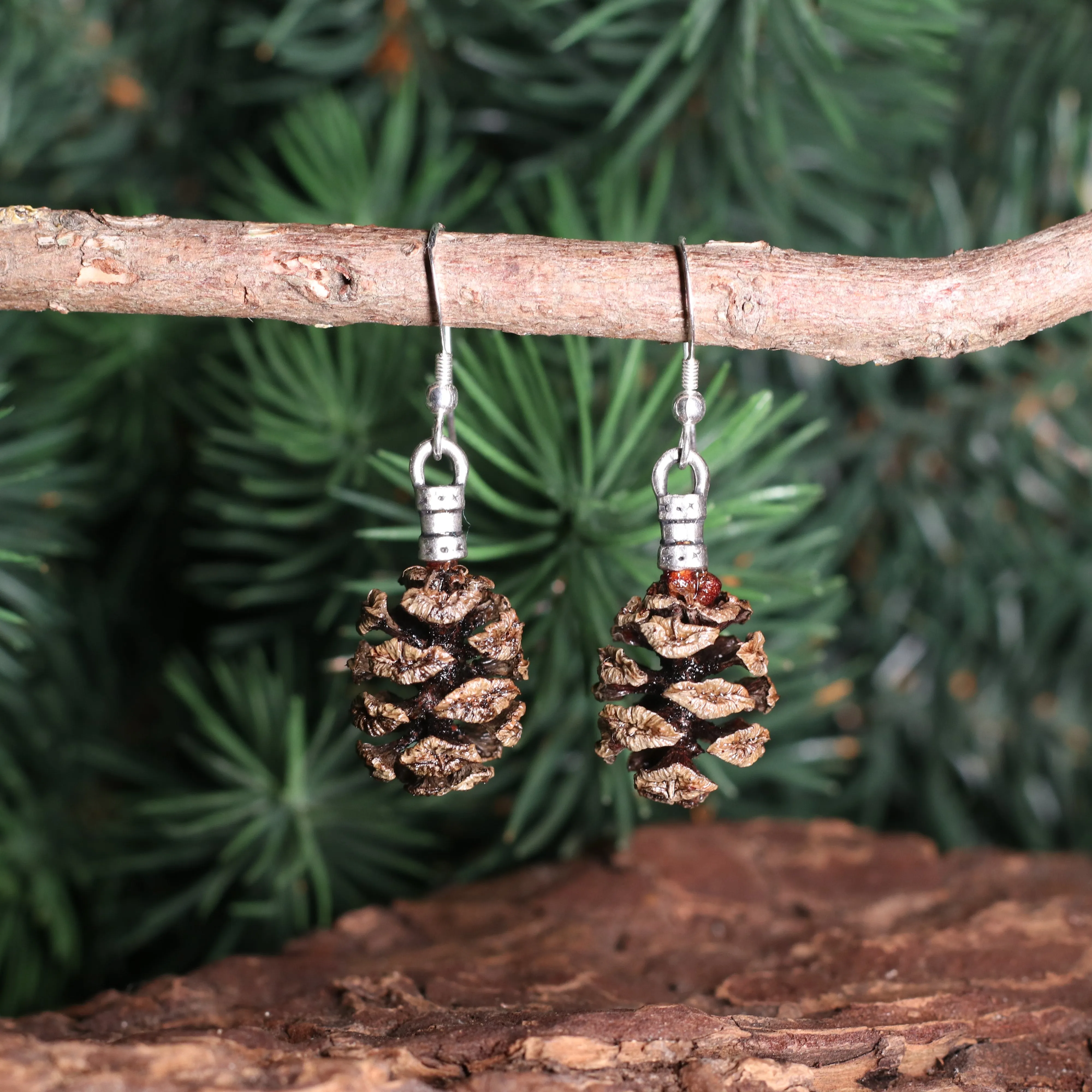 Redwood Earrings (Silver / Gold)