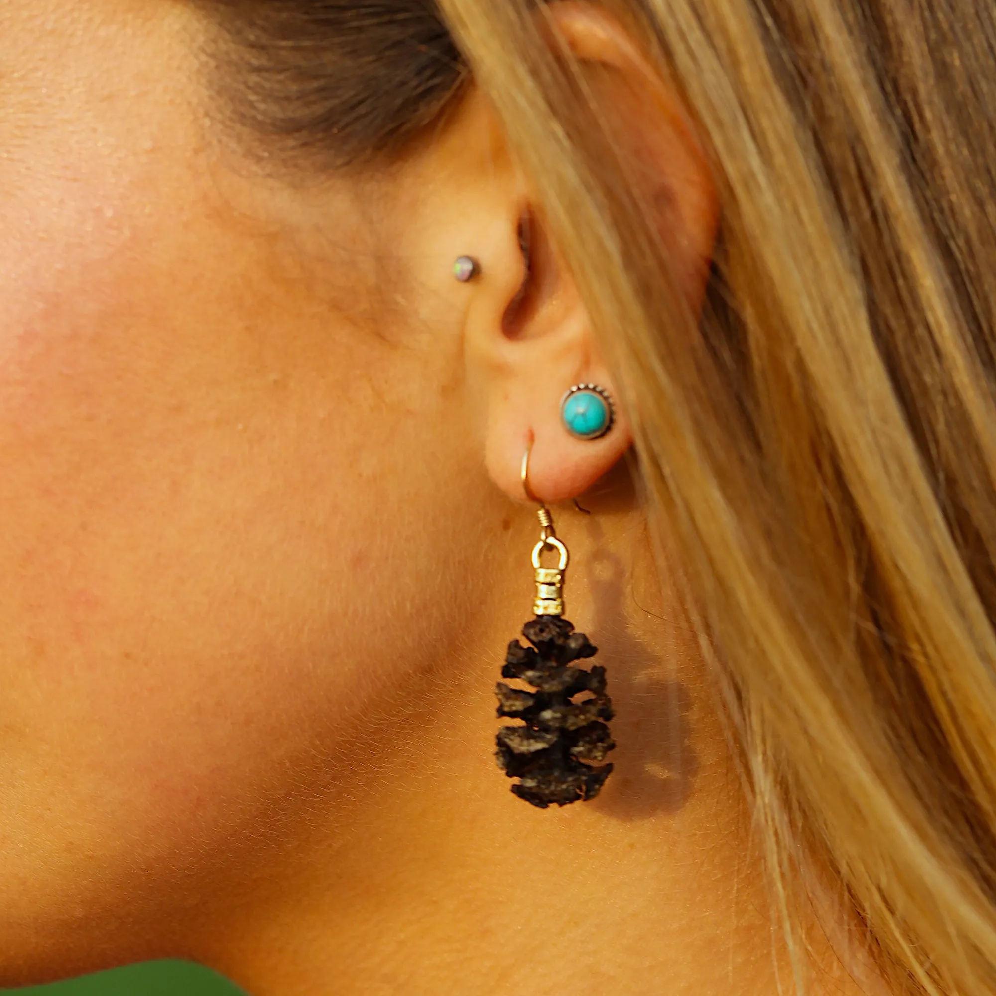 Redwood Earrings (Silver / Gold)